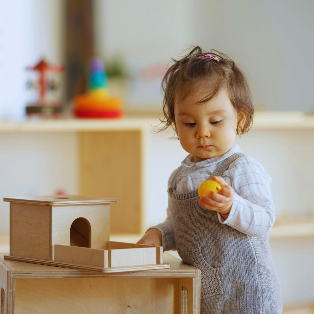 3 principles of Montessori Pedagogy