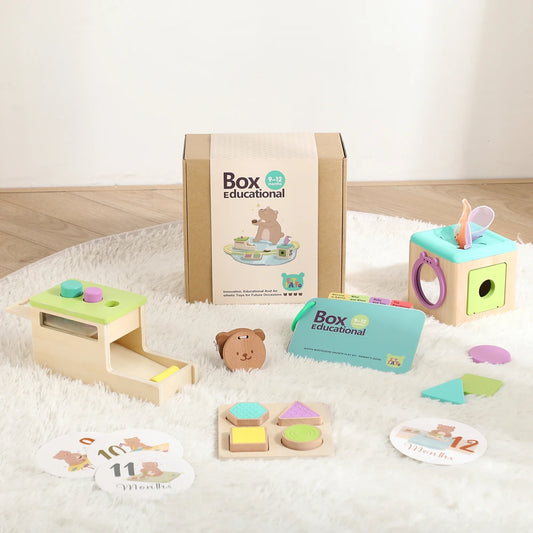 Montessori Baby Box (9-12 Months)